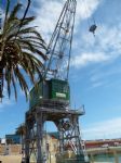 The Cranes in Spain